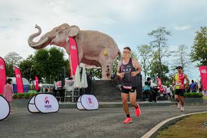 BIB: 
                            <button type="button" onclick="openModal(26529028)" class="btn btn-primary btn-sm float-right btn-popup" data-toggle="modal" data-target=".modal-high-quality">
                        <i class="fas fa-shopping-cart"></i> Add to Cart
                    </button>
                                            <button type="button" onclick="isThisMe(26529028, true)" class="btn btn-success btn-sm float-right btn-popup btn-isme hidden" data-toggle="tooltip" data-placement="bottom" title="นี่คือรูปของคุณใช่ไหม คลิกที่นี่เพื่อเอาเข้าอัลบั้ม">
                        <i class="fas fa-plus"></i> Add to album
                    </button>
                    <button type="button" onclick="isThisMe(26529028, false)" class="btn btn-warning btn-sm float-right btn-popup btn-isnotme hidden">
                        <i class="fas fa-ban"></i> Remove from album
                    </button>